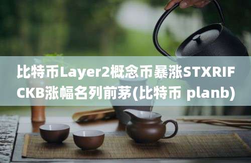 比特币Layer2概念币暴涨STXRIFCKB涨幅名列前茅(比特币 planb)