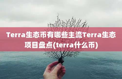 Terra生态币有哪些主流Terra生态项目盘点(terra什么币)