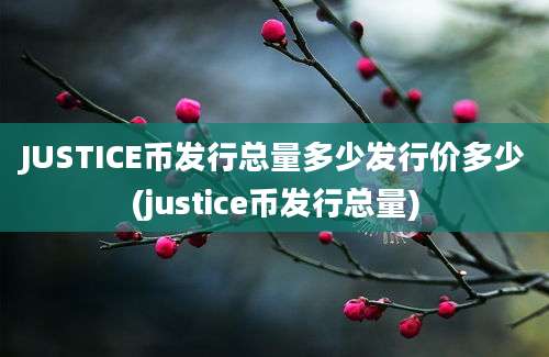 JUSTICE币发行总量多少发行价多少(justice币发行总量)