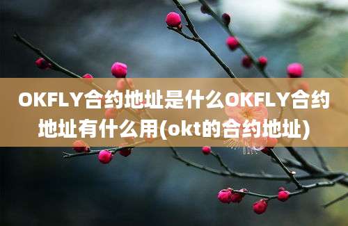 OKFLY合约地址是什么OKFLY合约地址有什么用(okt的合约地址)