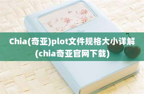 Chia(奇亚)plot文件规格大小详解(chia奇亚官网下载)