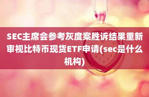 SEC主席会参考灰度案胜诉结果重新审视比特币现货ETF申请(sec是什么机构)