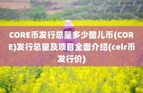 CORE币发行总量多少酷儿币(CORE)发行总量及项目全面介绍(celr币发行价)