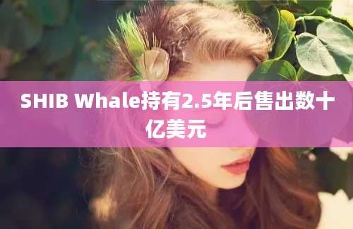 SHIB Whale持有2.5年后售出数十亿美元