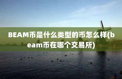 BEAM币是什么类型的币怎么样(beam币在哪个交易所)