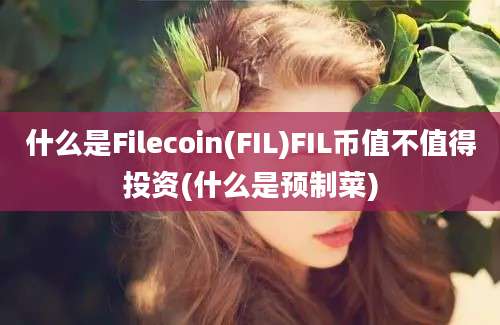 什么是Filecoin(FIL)FIL币值不值得投资(什么是预制菜)