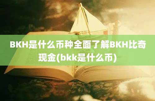 BKH是什么币种全面了解BKH比奇现金(bkk是什么币)