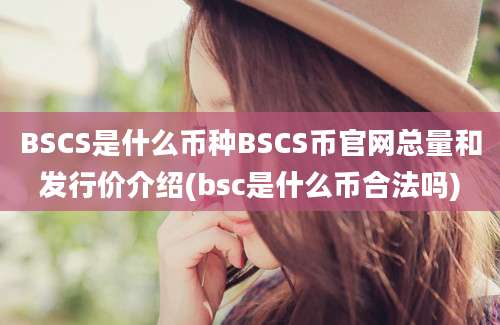 BSCS是什么币种BSCS币官网总量和发行价介绍(bsc是什么币合法吗)