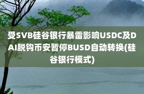 受SVB硅谷银行暴雷影响USDC及DAI脱钩币安暂停BUSD自动转换(硅谷银行模式)