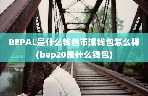 BEPAL是什么钱包币派钱包怎么样(bep20是什么钱包)