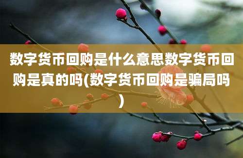 数字货币回购是什么意思数字货币回购是真的吗(数字货币回购是骗局吗)