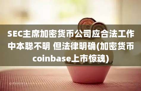 SEC主席加密货币公司应合法工作中本聪不明 但法律明确(加密货币coinbase上市惊魂)