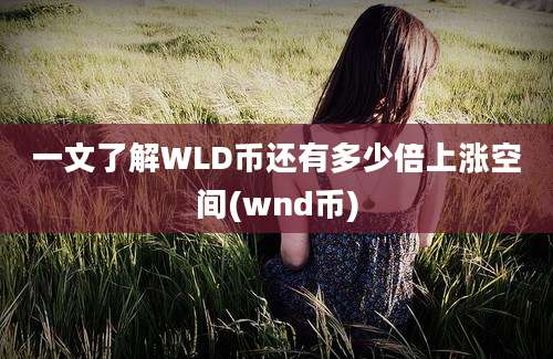 一文了解WLD币还有多少倍上涨空间(wnd币)