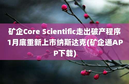 矿企Core Scientific走出破产程序1月底重新上市纳斯达克(矿企通APP下载)