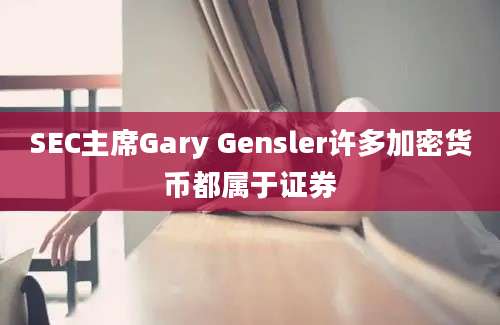 SEC主席Gary Gensler许多加密货币都属于证券