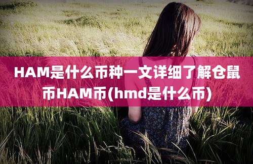 HAM是什么币种一文详细了解仓鼠币HAM币(hmd是什么币)