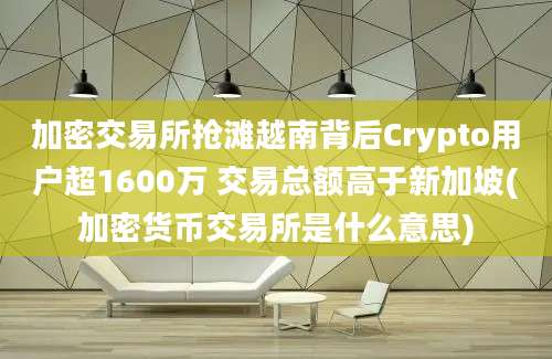 加密交易所抢滩越南背后Crypto用户超1600万 交易总额高于新加坡(加密货币交易所是什么意思)