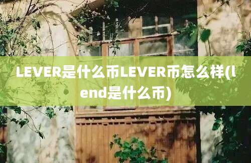 LEVER是什么币LEVER币怎么样(lend是什么币)