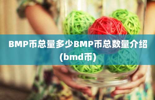 BMP币总量多少BMP币总数量介绍(bmd币)