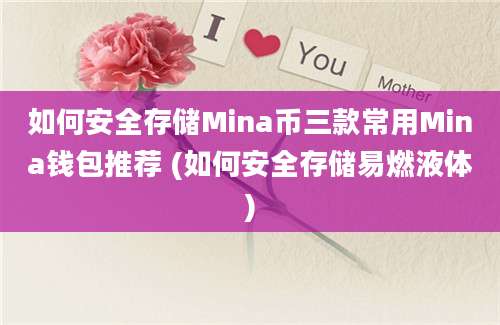 如何安全存储Mina币三款常用Mina钱包推荐 (如何安全存储易燃液体)