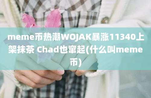 meme币热潮WOJAK暴涨11340上架抹茶 Chad也窜起(什么叫meme币)