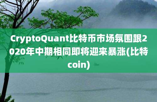 CryptoQuant比特币市场氛围跟2020年中期相同即将迎来暴涨(比特coin)