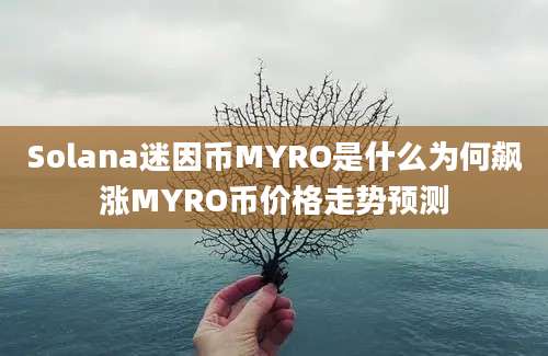 Solana迷因币MYRO是什么为何飙涨MYRO币价格走势预测