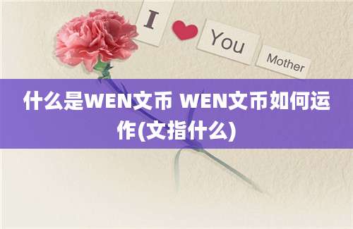 什么是WEN文币 WEN文币如何运作(文指什么)