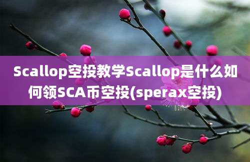 Scallop空投教学Scallop是什么如何领SCA币空投(sperax空投)