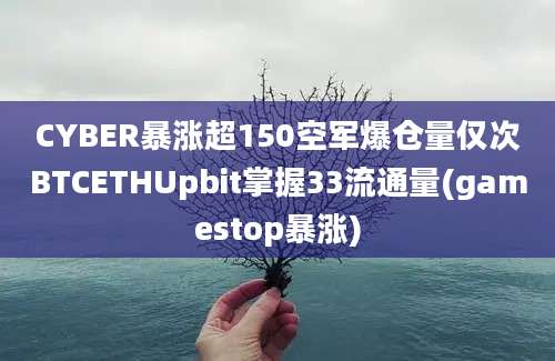 CYBER暴涨超150空军爆仓量仅次BTCETHUpbit掌握33流通量(gamestop暴涨)