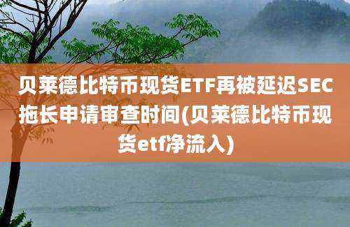 贝莱德比特币现货ETF再被延迟SEC拖长申请审查时间(贝莱德比特币现货etf净流入)