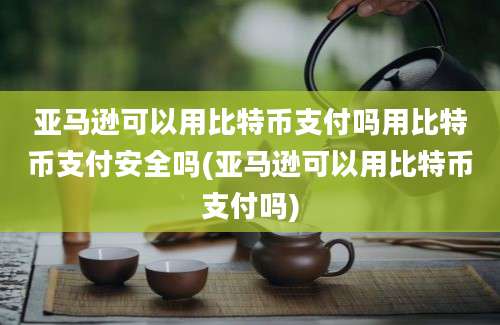 亚马逊可以用比特币支付吗用比特币支付安全吗(亚马逊可以用比特币支付吗)