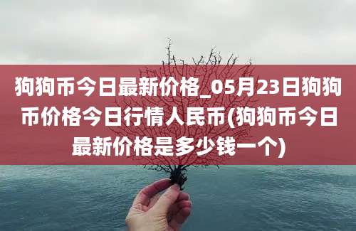 狗狗币今日最新价格_05月23日狗狗币价格今日行情人民币(狗狗币今日最新价格是多少钱一个)