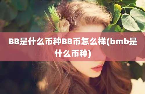 BB是什么币种BB币怎么样(bmb是什么币种)