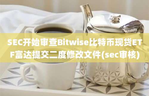 SEC开始审查Bitwise比特币现货ETF富达提交二度修改文件(sec审核)