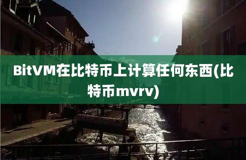 BitVM在比特币上计算任何东西(比特币mvrv)