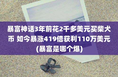 暴富神话3年前花2千多美元买柴犬币 如今暴涨419倍获利110万美元(暴富是哪个爆)