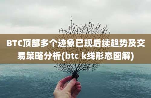 BTC顶部多个迹象已现后续趋势及交易策略分析(btc k线形态图解)