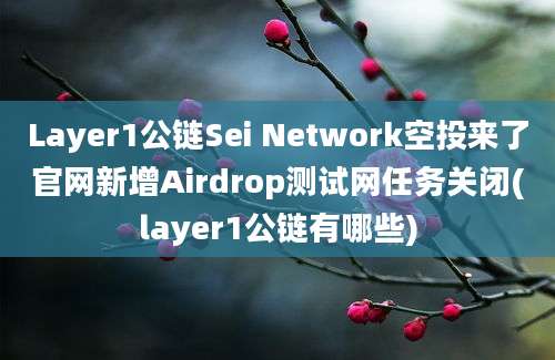 Layer1公链Sei Network空投来了官网新增Airdrop测试网任务关闭(layer1公链有哪些)