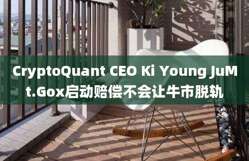 CryptoQuant CEO Ki Young JuMt.Gox启动赔偿不会让牛市脱轨