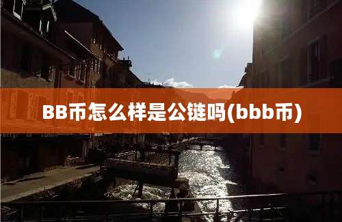 BB币怎么样是公链吗(bbb币)