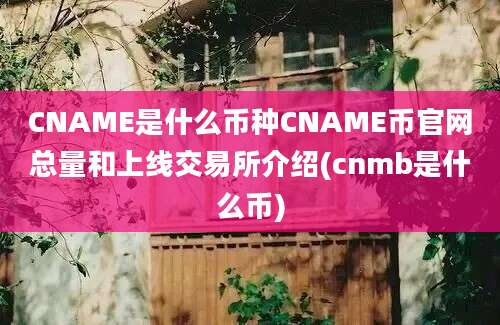 CNAME是什么币种CNAME币官网总量和上线交易所介绍(cnmb是什么币)