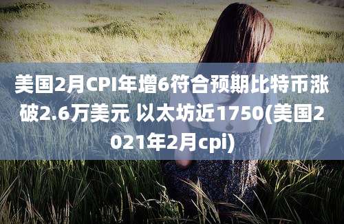 美国2月CPI年增6符合预期比特币涨破2.6万美元 以太坊近1750(美国2021年2月cpi)