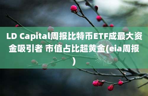 LD Capital周报比特币ETF成最大资金吸引者 市值占比超黄金(eia周报)