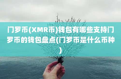 门罗币(XMR币)钱包有哪些支持门罗币的钱包盘点(门罗币是什么币种)