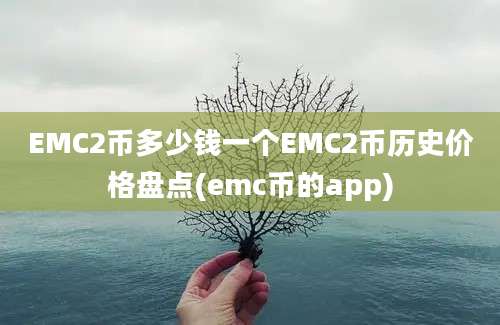 EMC2币多少钱一个EMC2币历史价格盘点(emc币的app)