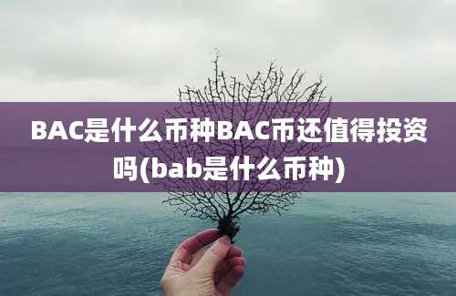 BAC是什么币种BAC币还值得投资吗(bab是什么币种)