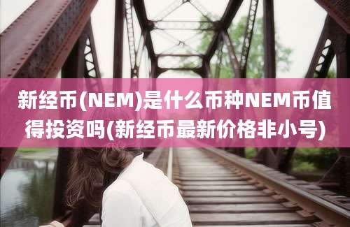 新经币(NEM)是什么币种NEM币值得投资吗(新经币最新价格非小号)