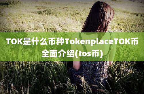 TOK是什么币种TokenplaceTOK币全面介绍(tos币)