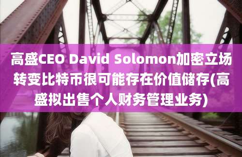 高盛CEO David Solomon加密立场转变比特币很可能存在价值储存(高盛拟出售个人财务管理业务)